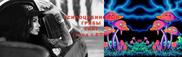 спайс Рославль
