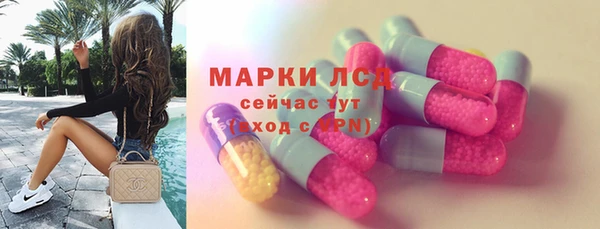 стаф Ростов