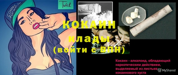 спайс Рославль