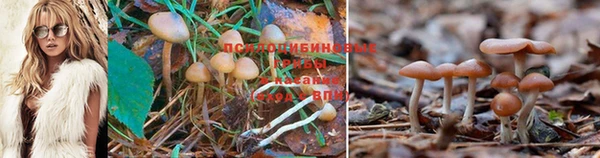 меф Абинск